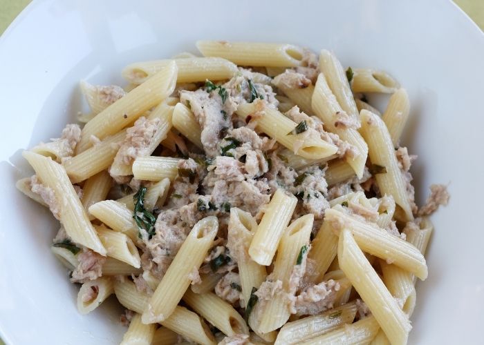 almoço rápido e simples almoço rápido e simples