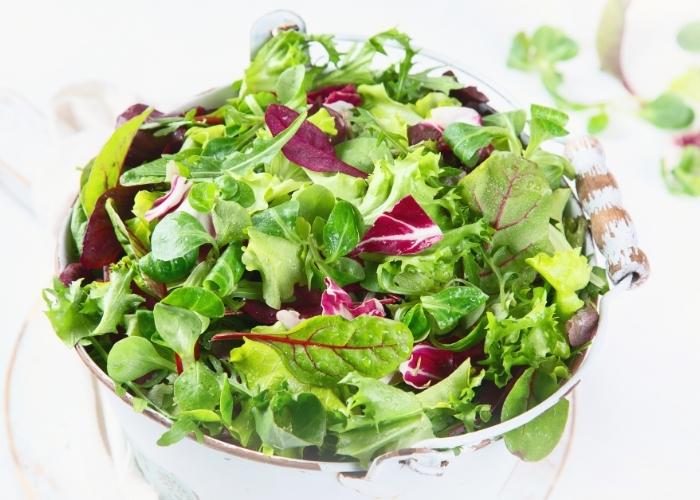 folhas para salada folhas para salada