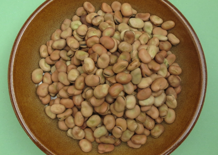 Como cozinhar a fava Como cozinhar a fava