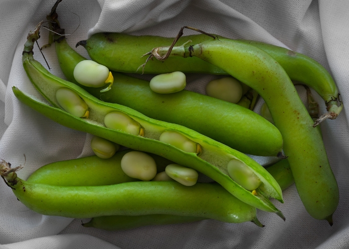 Como tirar o amargo da fava Como tirar o amargo da fava
