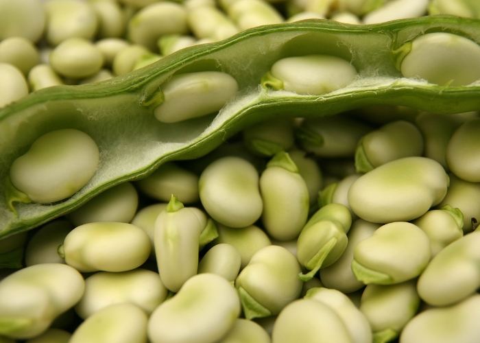 Quanto tempo para cozinhar fava na panela de pressão