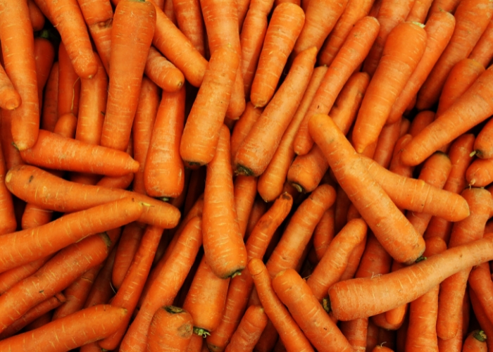 Cenoura é legume ou verdura Cenoura é legume ou verdura