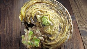 como saber se o repolho está estragado