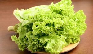 xr:d:DAE96F6T9TA:1785,j:43739524069,t:23032200