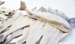 xr:d:DAE96F6T9TA:1761,j:43412527936,t:23031615