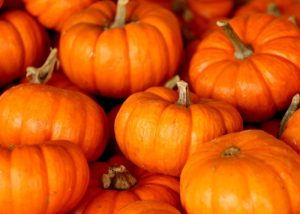 xr:d:DAFlE6-et0M:22,j:4430809063475073488,t:23060922