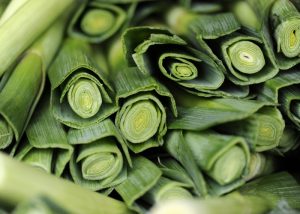 xr:d:DAFf72B00Es:33,j:45089164856,t:23041300