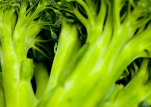 xr:d:DAFgFBX0h1Q:10,j:45185159608,t:23041412