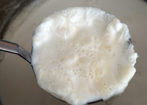 Pode-substituir-nata-por-creme-de-leite