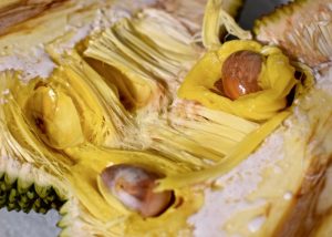 xr:d:DAF1-eoFSWo:7,j:454148897721966794,t:23120412