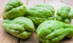 Tempo-de-cozimento-do-chuchu