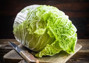 xr:d:DAFVri5SOwY:39,j:44279796731,t:22122717