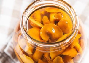 Cogumelo em conserva precisa cozinhar