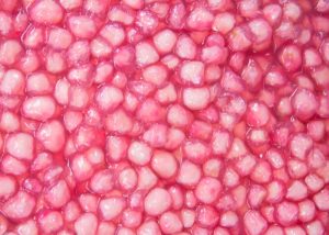 Como fazer sagu com suco de uva