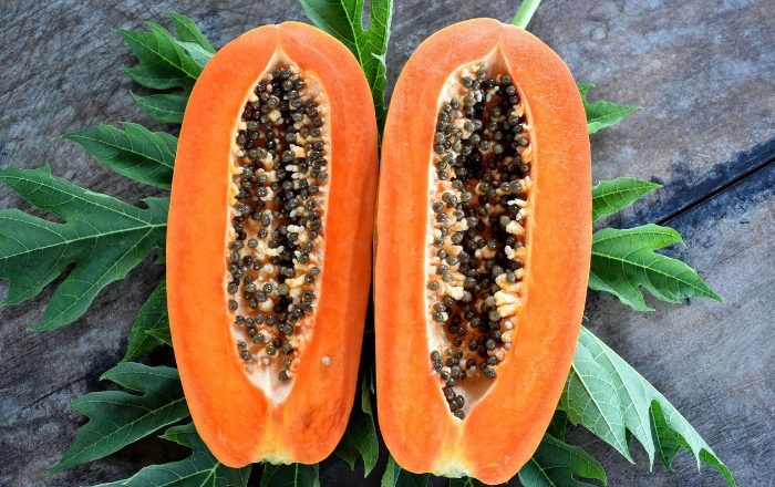 Como conservar mamão depois de aberto