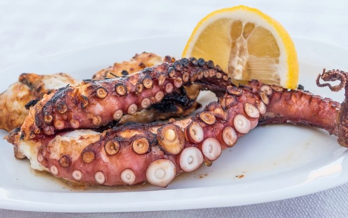 Como preparar polvo congelado