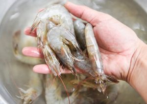 Precisa tirar a tripa de baixo do camarão