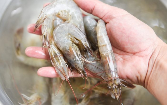 Precisa tirar a tripa de baixo do camarão