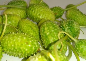 Tempo de cozimento do maxixe na panela de pressão