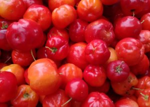 Como fazer polpa de acerola para congelar
