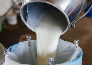 Quantos ML de coalho para cada litro de leite