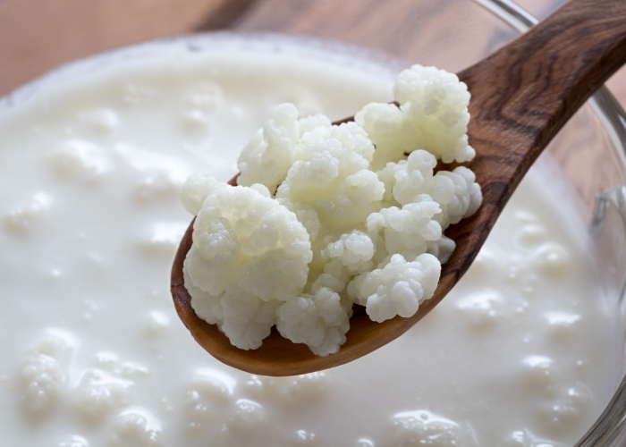 Como descongelar kefir