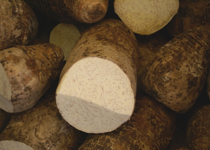 Para fazer suco precisa cozinhar o inhame Para fazer suco precisa cozinhar o inhame
