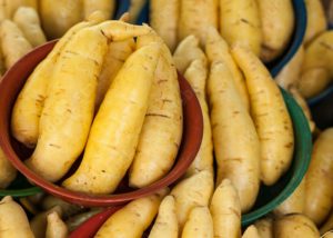 Tempo de cozimento da mandioquinha na pressão