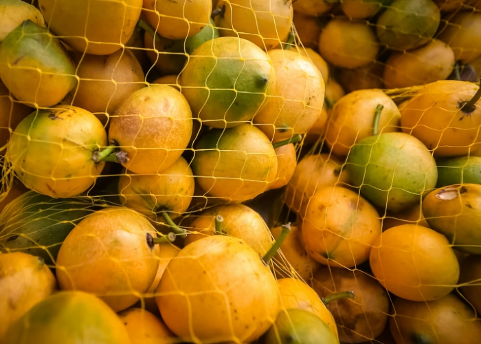 Como escolher maracujá Como escolher maracujá