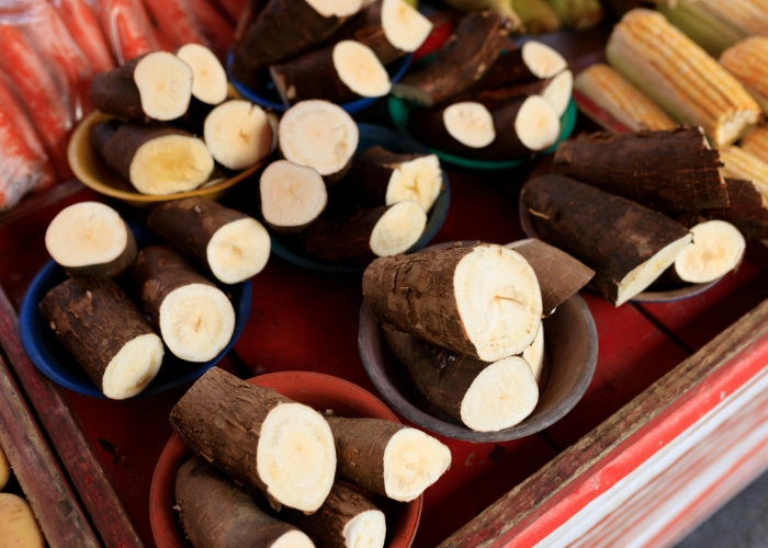 Tempo de cozimento da mandioca congelada na pressão