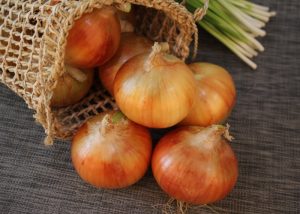 Pode colocar cebola na geladeira