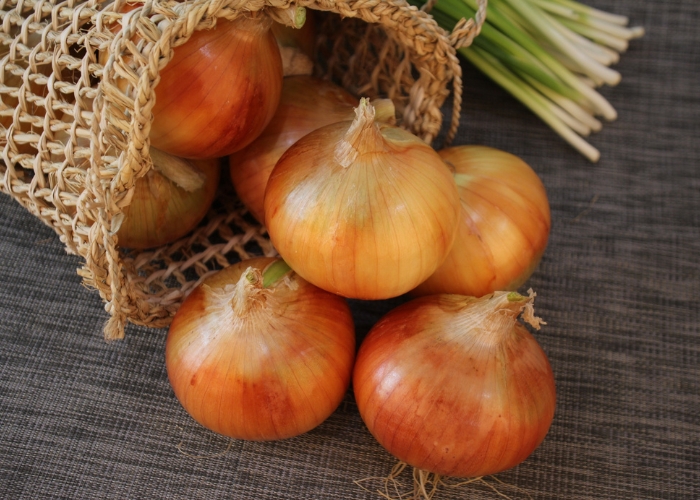 Pode colocar cebola na geladeira Pode colocar cebola na geladeira