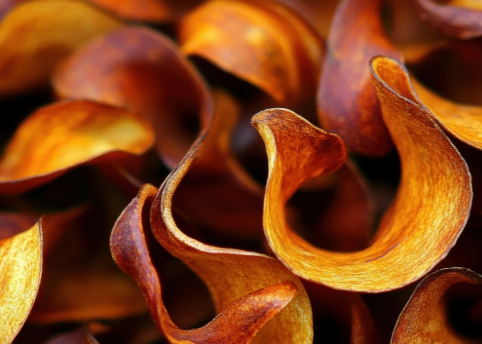Como desidratar legumes na airfryer